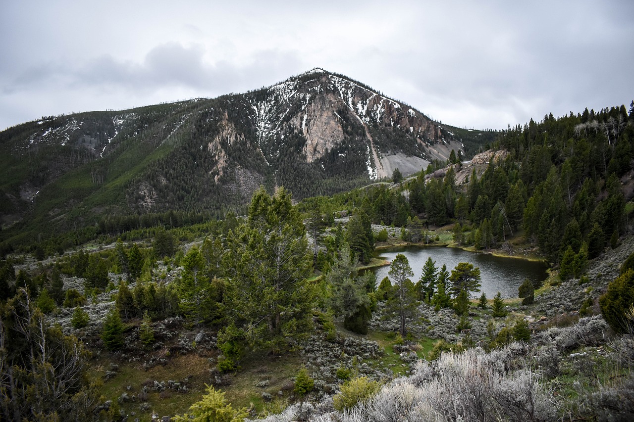 Exploring the Great Outdoors: Tips for an Unforgettable Travel Adventure Exploring the Great Outdoors: Tips for an Unforgettable Travel Adventure