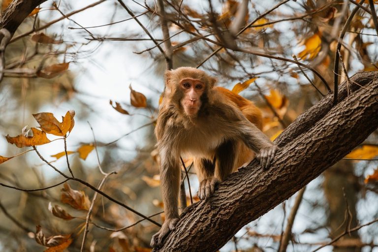 Explore the Great Outdoors with These Must-Have Travel Products